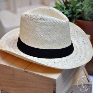 chapeau panama